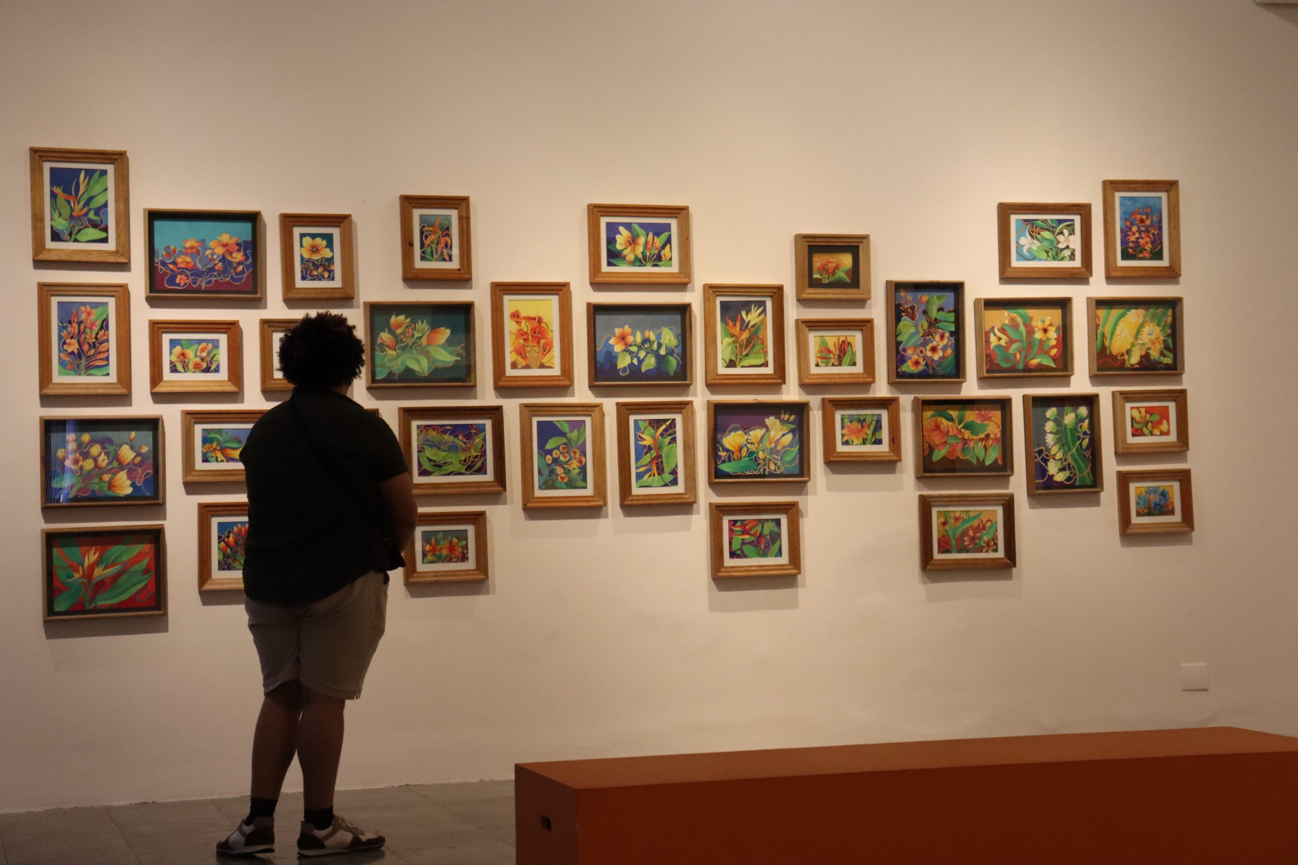 “Sertão Galvão” segue em exposição até 18 de outubro no Mauc