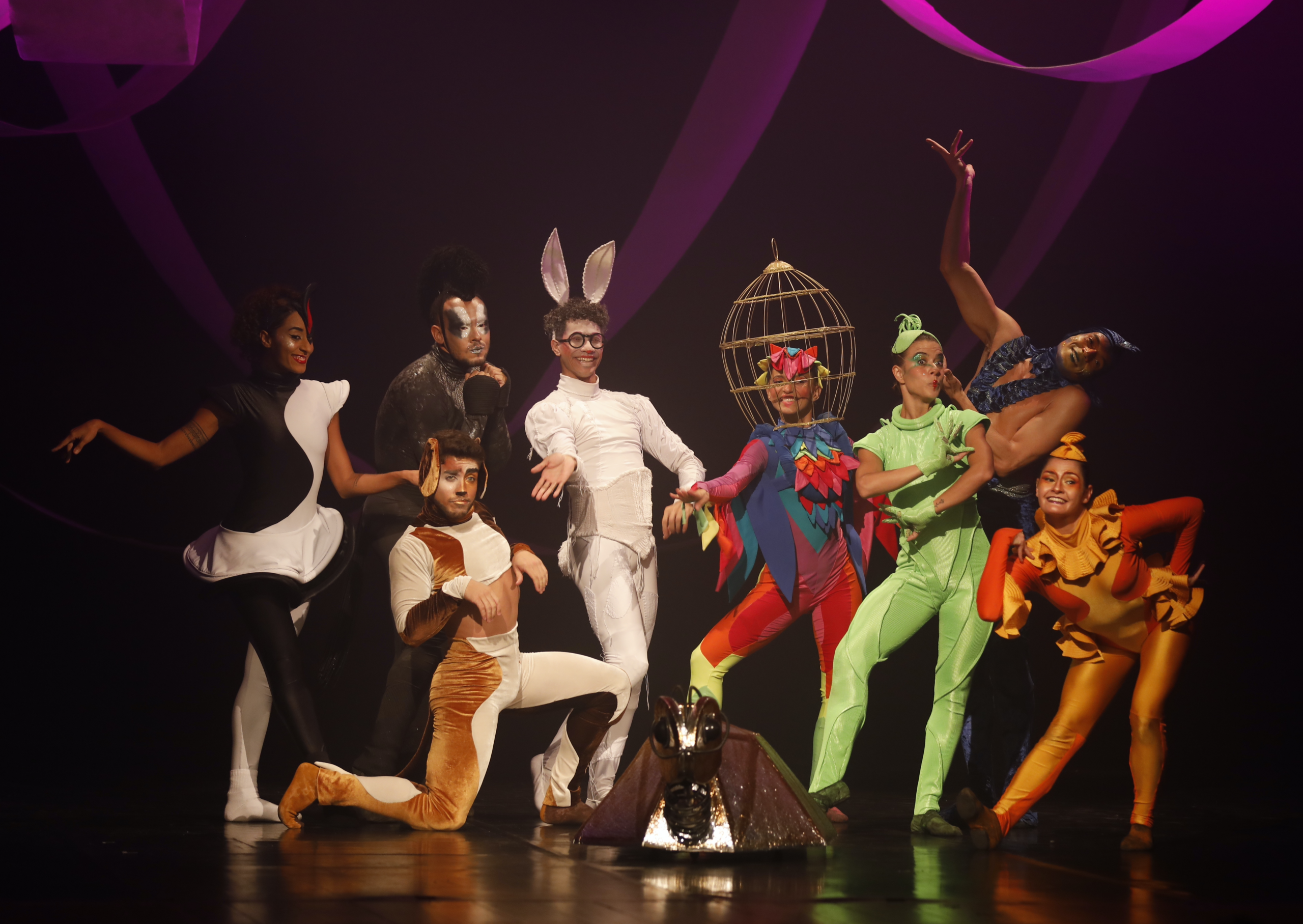 Focus Cia de Dança leva celebração de 25 anos ao Ceará com espetáculos em Baturité, Fortaleza e Pacajus