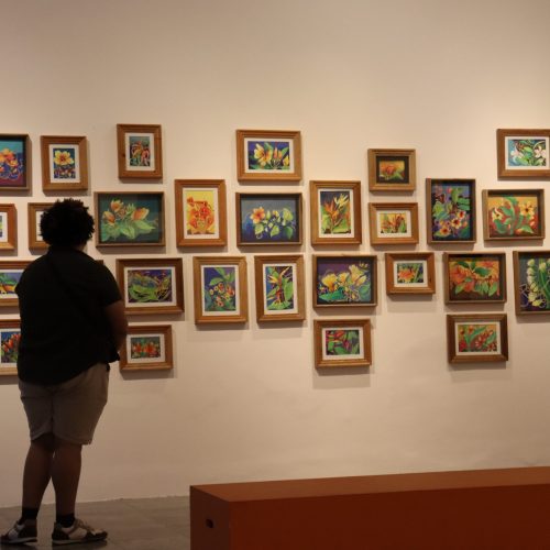 “Sertão Galvão” segue em exposição até 18 de outubro no Mauc