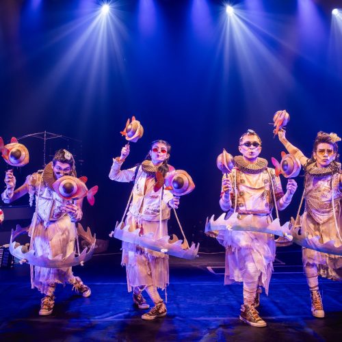 (Foto: Renato Mangolin)