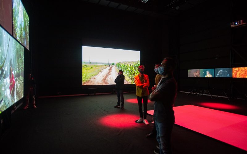 Mostra “As mil noites – o cinema de Paula Gaitán” inicia nesta quarta-feira (12/2) na CAIXA Cultural Fortaleza