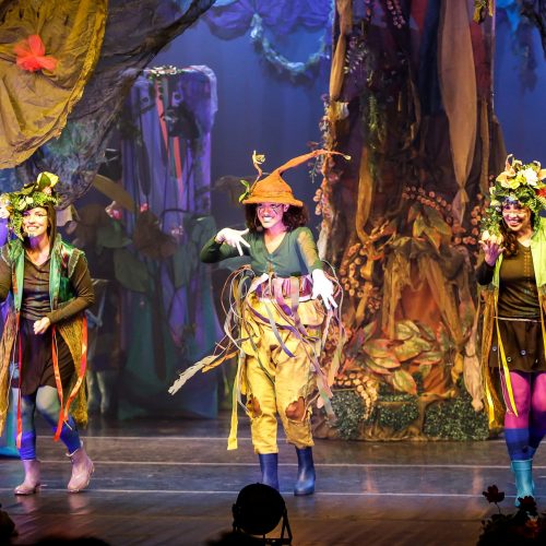 A Floresta dos Mistérios | Márcio Araújo | Teatro Arthur de Azevedo-SP | foto Silvia Machado