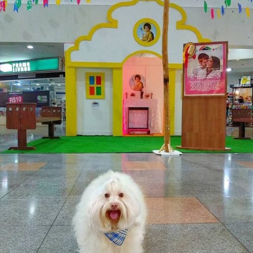 Shopping Benfica recebe selo Pet Friendly, da Prefeitura de Fortaleza