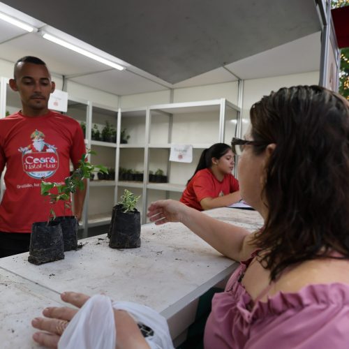 Ceará Natal de Luz: campanha ambiental é destaque da 28ª Edição